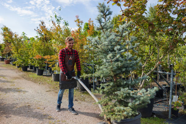 Best Tree Trimming Near Me  in Parowan, UT